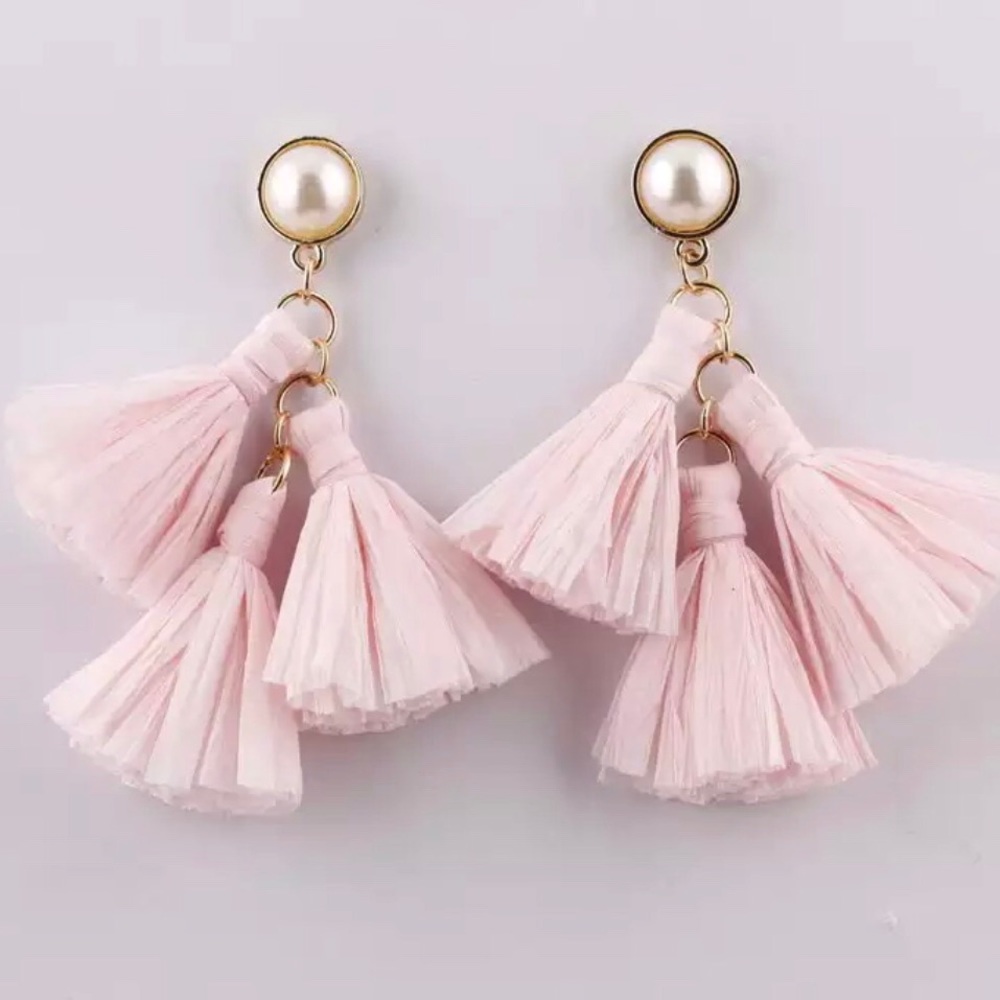 Tassel charm earrrings
